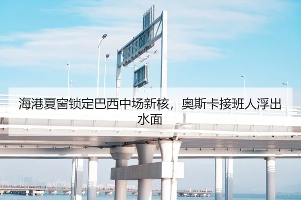 海港夏窗锁定巴西中场新核，奥斯卡接班人浮出水面